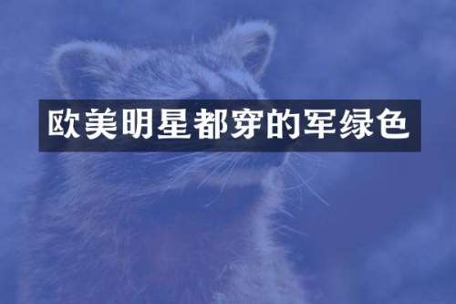 欧美明星都穿的军绿色