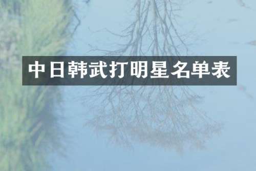 中日韩武打明星名单表