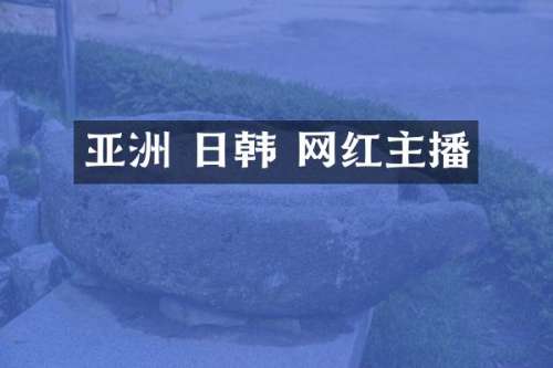亚洲 日韩 网红主播