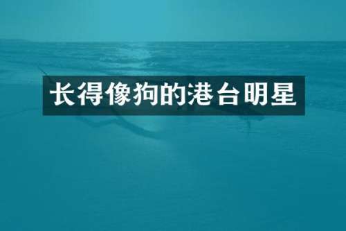 长得像狗的港台明星