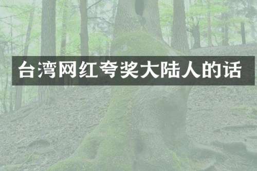 台湾网红夸奖大陆人的话