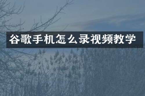 谷歌手机怎么录视频教学