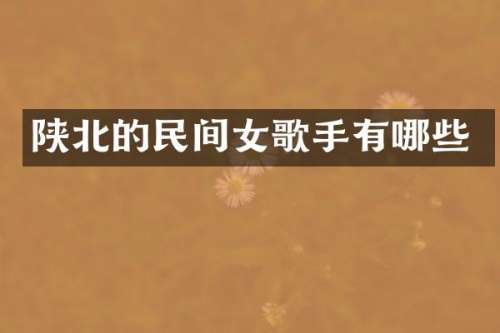 陕北的民间女歌手有哪些