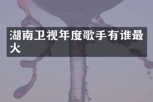 湖南卫视年度歌手有谁最火