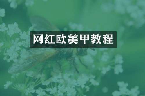 网红欧美甲教程