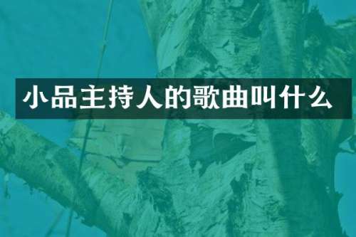 小品主持人的歌曲叫什么