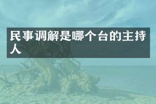 民事调解是哪个台的主持人