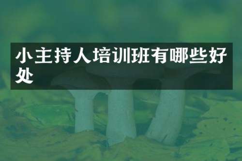 小主持人培训班有哪些好处