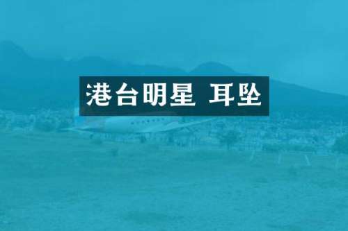港台明星 耳坠