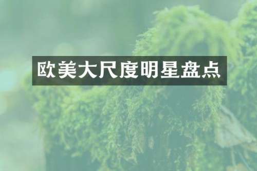 欧美明星盘点