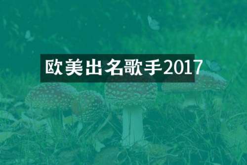 欧美出名歌手2017