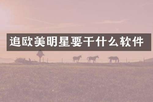 追欧美明星要干什么软件