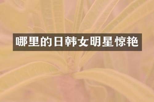 哪里的日韩女明星惊艳