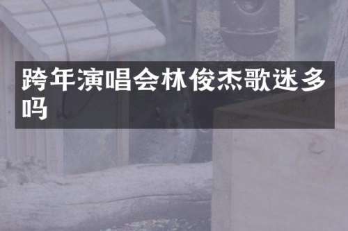 跨年演唱会林俊杰歌迷多吗
