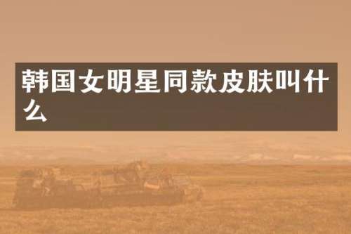 韩国女明星同款皮肤叫什么