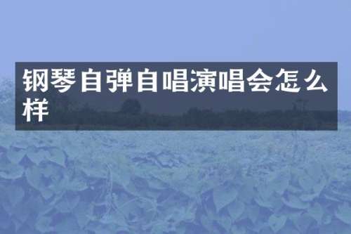 钢琴自弹自唱演唱会怎么样
