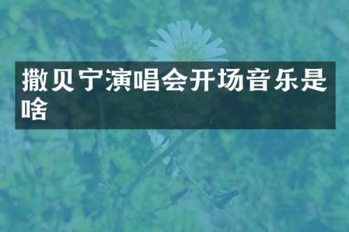 撒贝宁演唱会开场音乐是啥