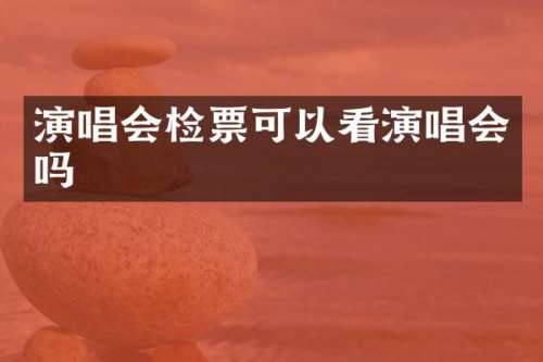演唱会检票可以看演唱会吗