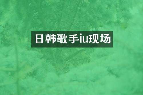 日韩歌手iu现场