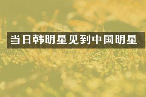 当日韩明星见到中国明星