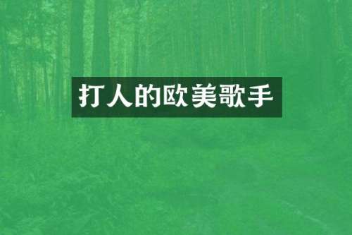 打人的欧美歌手