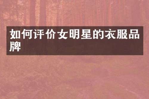 如何评价女明星的衣服品牌