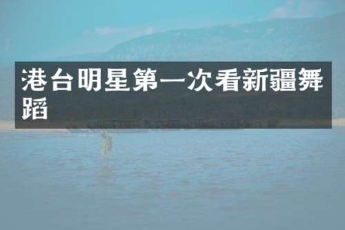 港台明星第一次看新疆舞蹈