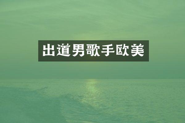 出道男歌手欧美