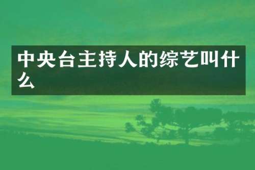 中央台主持人的综艺叫什么
