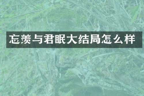忘羡与君眠大结局怎么样