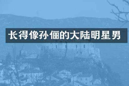 长得像孙俪的大陆明星男