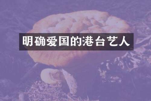 明确爱国的港台艺人