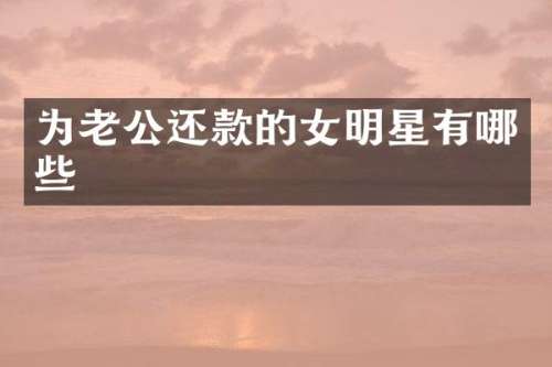 为老公还款的女明星有哪些