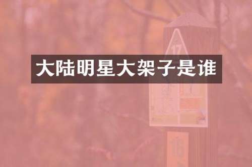 大陆明星大架子是谁
