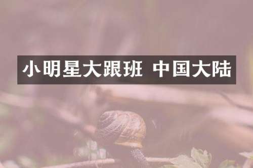 小明星大跟班 中国大陆