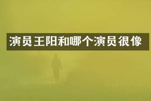 演员王阳和哪个演员很像