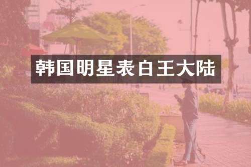 韩国明星表白王大陆