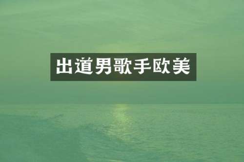 出道男歌手欧美