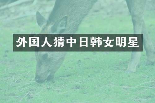 外国人猜中日韩女明星