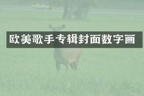 欧美歌手专辑封面数字画