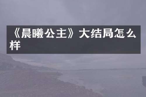 《晨曦公主》大结局怎么样