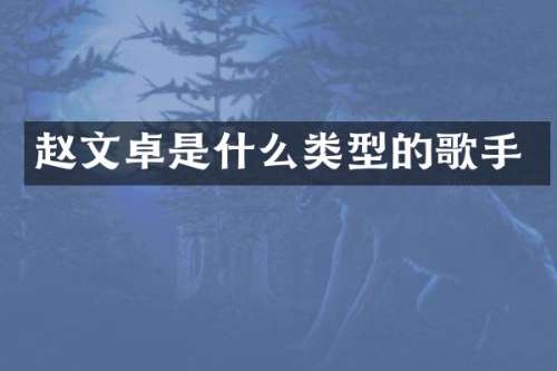赵文卓是什么类型的歌手