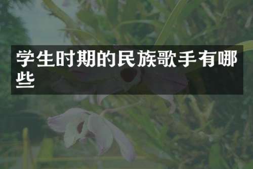 学生时期的歌手有哪些