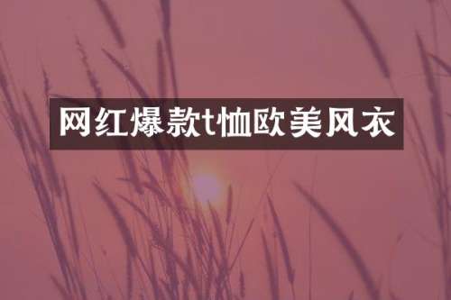 网红爆款t恤欧美风衣