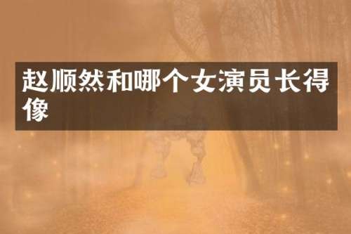 赵顺然和哪个女演员长得像