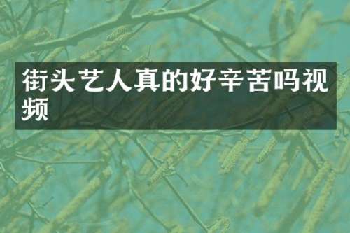 街头艺人真的好辛苦吗视频