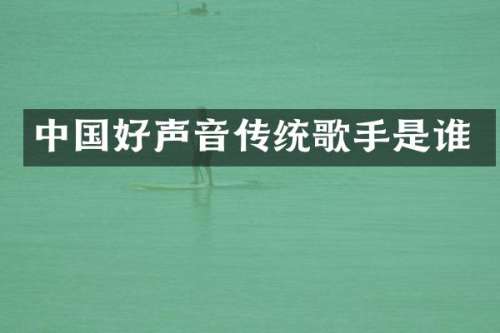 中国好声音传统歌手是谁
