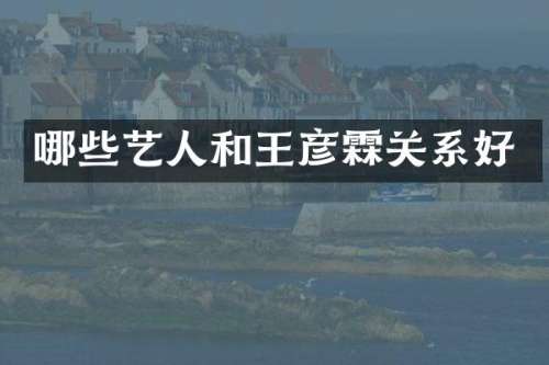 哪些艺人和王彦霖关系好