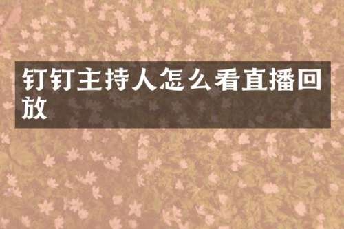 钉钉主持人怎么看直播回放