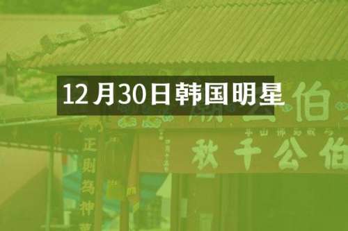 12月30日韩国明星